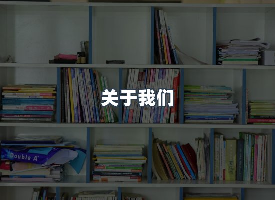 专业团队